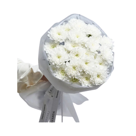 White Sky: Baltic Hydrangea & Snack Bundle